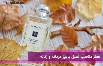 عطر مناسب فصل پاییز مردانه و زنانه